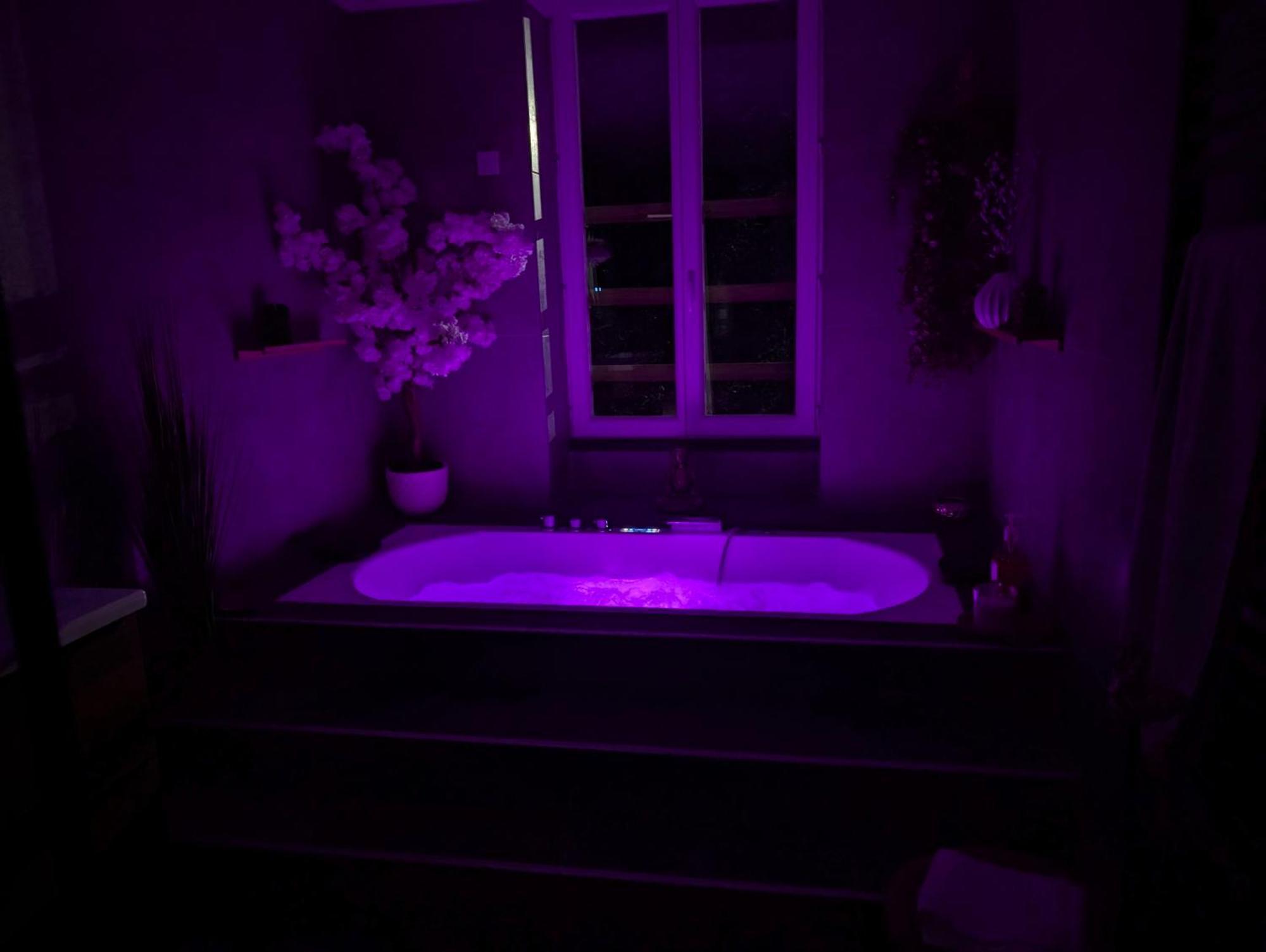 Le Spa - Villa Valmy - Hypercentre - Gare Sncf Монлюсон Екстер'єр фото